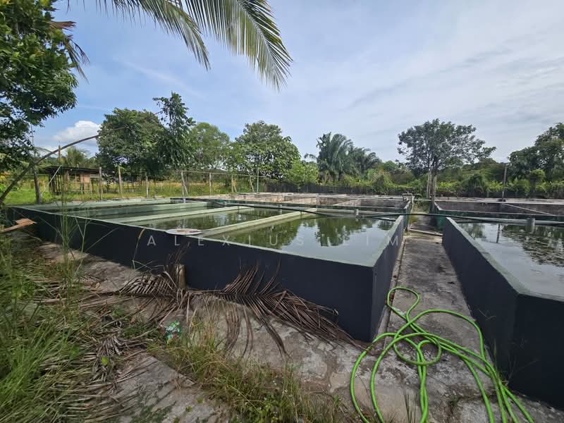 Industrial Land for Sale in Pekan Nenas (Jeram Batu) - Alexius Lim - Exterior - PropertyGuru.com.my