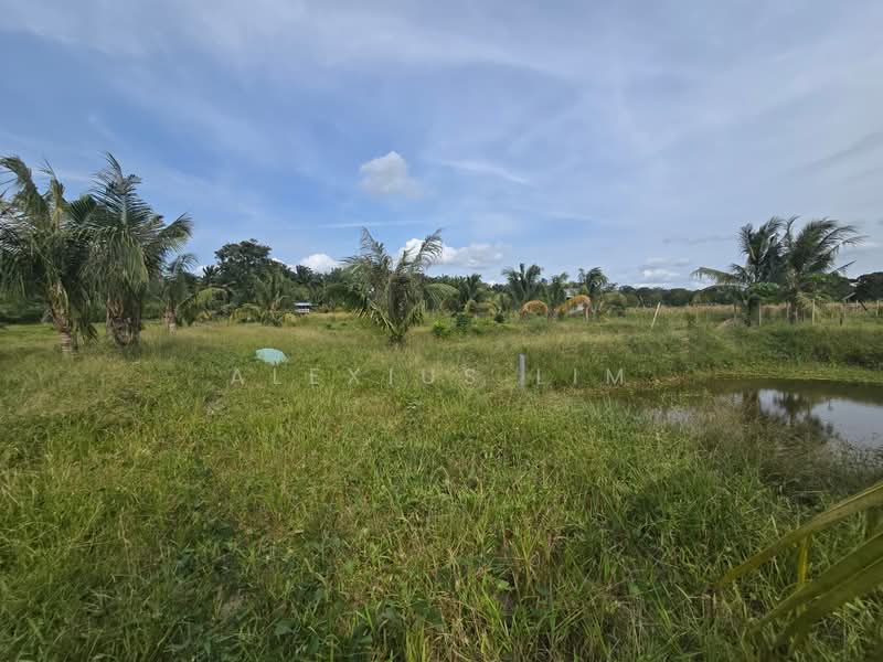 Industrial Land for Sale in Pekan Nenas (Jeram Batu) - Alexius Lim - PropertyGuru.com.my