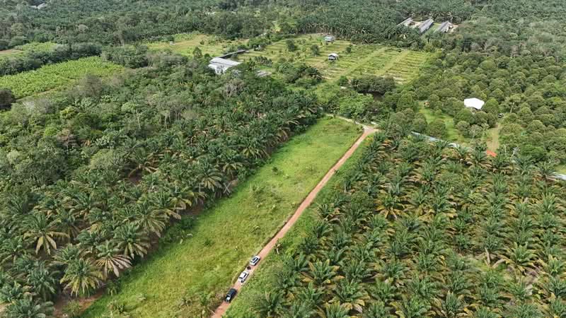 Industrial Land for Sale in Pekan Nenas (Jeram Batu) - Alexius Lim - PropertyGuru.com.my