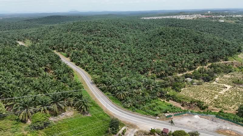 Tanah Kediaman untuk Dijual di Kulai (Johor) - BK Cheok - Exterior - PropertyGuru.com.my
