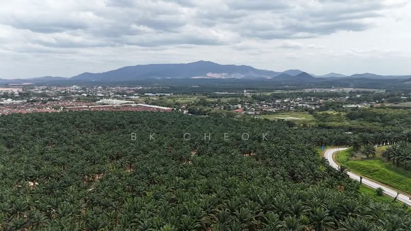 Tanah Kediaman untuk Dijual di Kulai (Johor) - BK Cheok - PropertyGuru.com.my