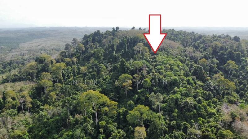 Agricultural Land for Sale in Tanah Merah (Kelantan) - NIK AZWAN - Exterior - PropertyGuru.com.my