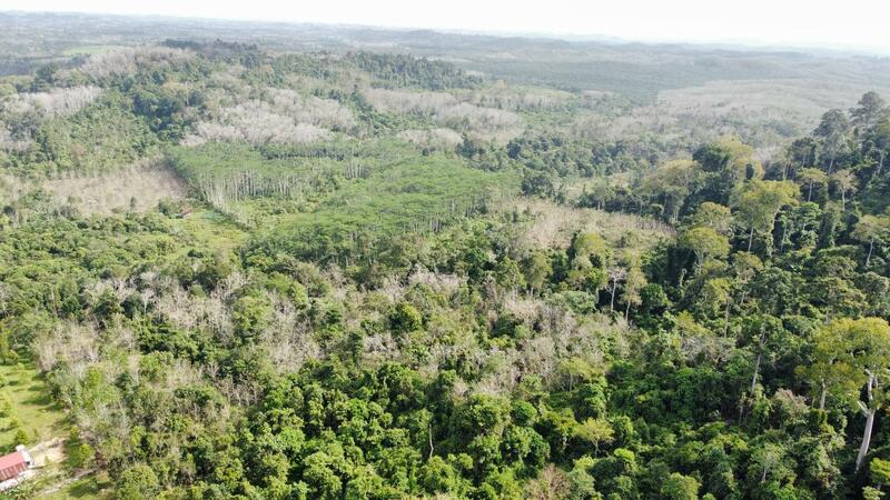 Agricultural Land for Sale in Tanah Merah (Kelantan) - NIK AZWAN - Exterior - PropertyGuru.com.my