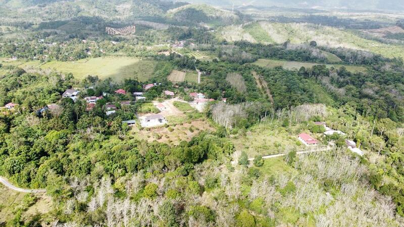Agricultural Land for Sale in Tanah Merah (Kelantan) - NIK AZWAN - Exterior - PropertyGuru.com.my