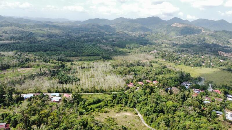 Agricultural Land for Sale in Tanah Merah (Kelantan) - NIK AZWAN - Exterior - PropertyGuru.com.my