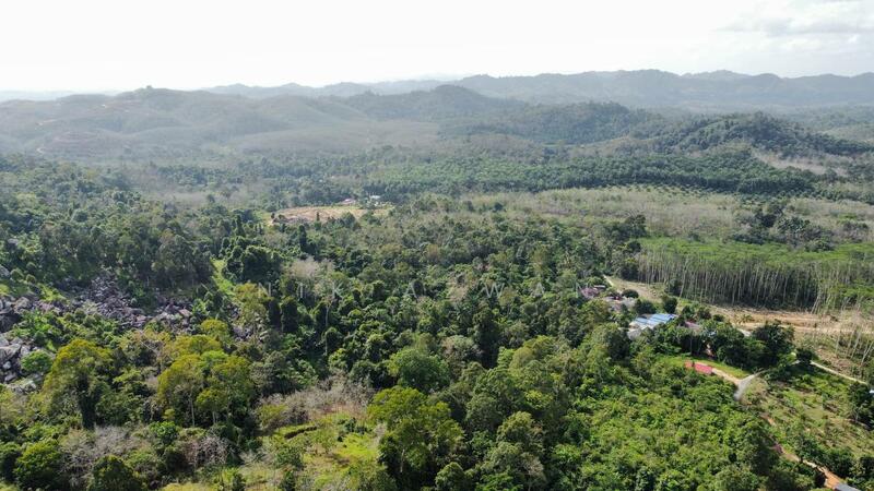 Agricultural Land for Sale in Tanah Merah (Kelantan) - NIK AZWAN - Exterior - PropertyGuru.com.my