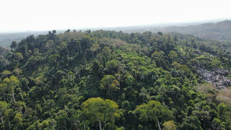 Agricultural Land for Sale in Tanah Merah (Kelantan) - NIK AZWAN - Exterior - PropertyGuru.com.my