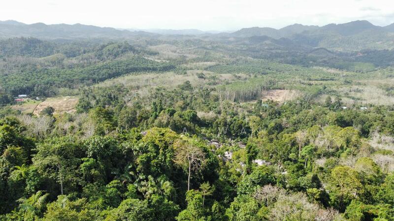 Agricultural Land for Sale in Tanah Merah (Kelantan) - NIK AZWAN - Exterior - PropertyGuru.com.my