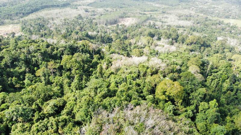 Agricultural Land for Sale in Tanah Merah (Kelantan) - NIK AZWAN - Exterior - PropertyGuru.com.my