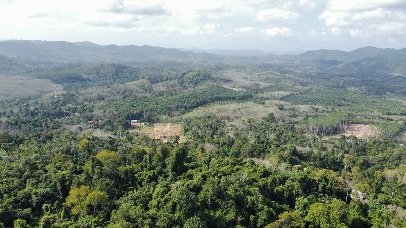 Agricultural Land for Sale in Tanah Merah (Kelantan) - NIK AZWAN - Exterior - PropertyGuru.com.my