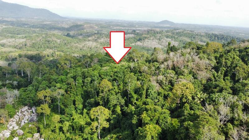 Agricultural Land for Sale in Tanah Merah (Kelantan) - NIK AZWAN - Exterior - PropertyGuru.com.my