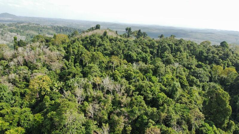 Agricultural Land for Sale in Tanah Merah (Kelantan) - NIK AZWAN - Exterior - PropertyGuru.com.my