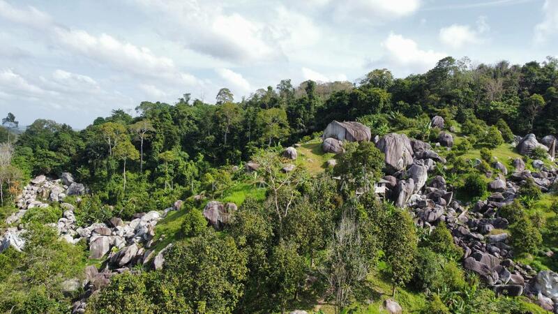 Agricultural Land for Sale in Tanah Merah (Kelantan) - NIK AZWAN - Exterior - PropertyGuru.com.my