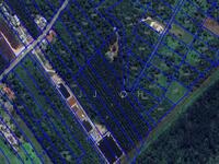 For Sale - Kelapa Sawit