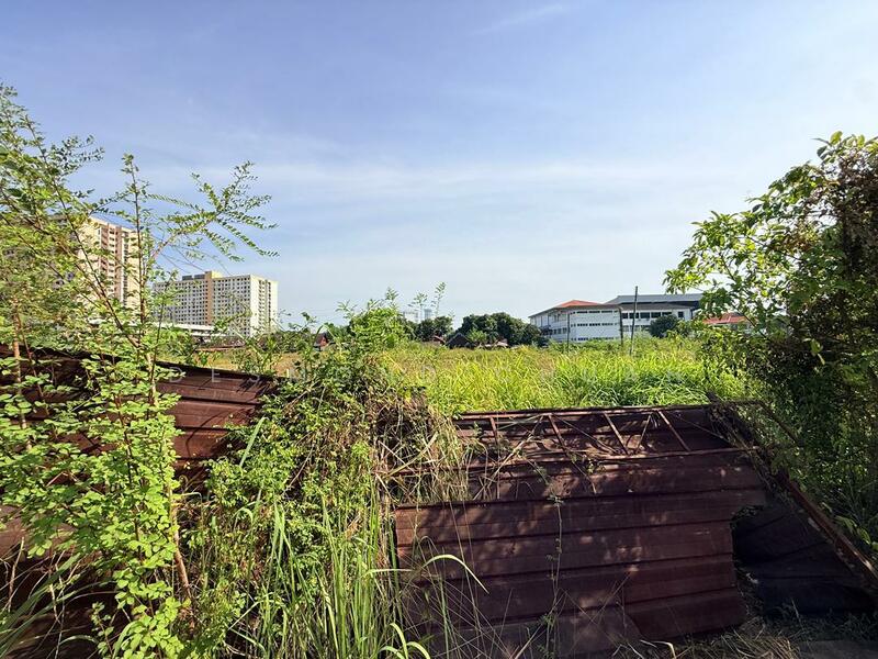 Untuk Dijual - Jelutong