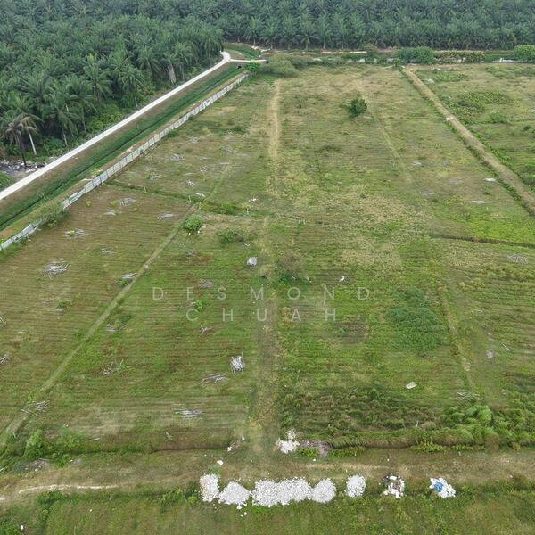 Agricultural Land for Sale in Nibong Tebal (Penang) - Desmond Chuah - Exterior - PropertyGuru.com.my