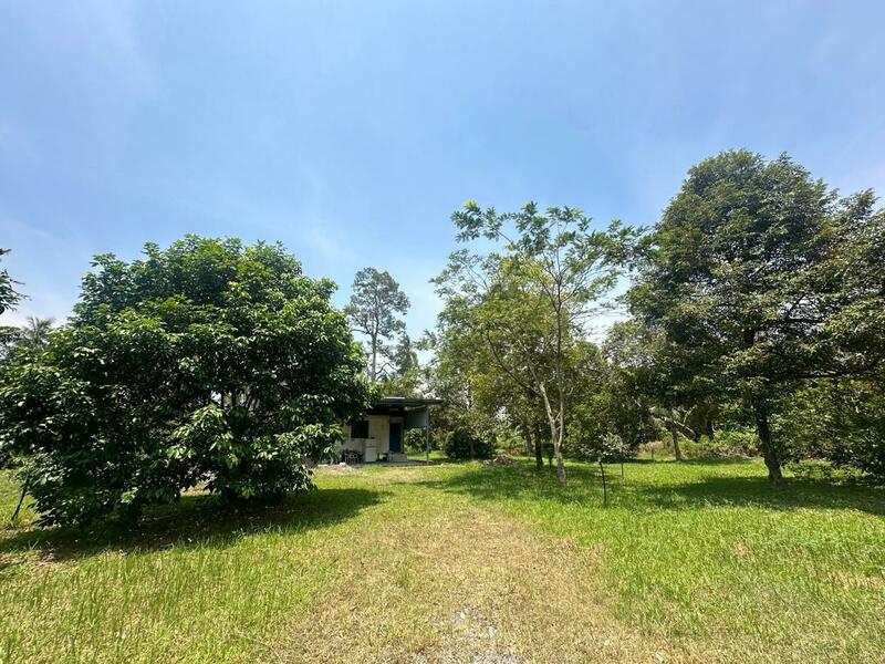 Agricultural Land for Sale in Kukup (Johor) - Kia . - PropertyGuru.com.my