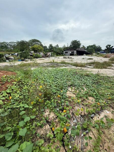 Agricultural Land for Sale in Kempas Permatang (Tampoi) - Kelly Wai - Exterior - PropertyGuru.com.my