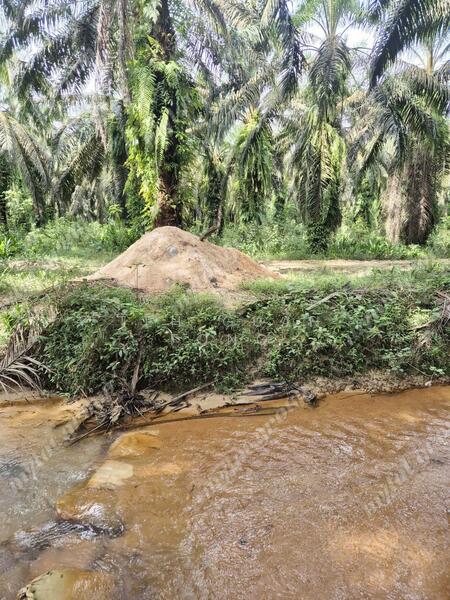 Tanah Pertanian untuk Dijual di Karangan (Kedah) - Teh Guan Fong - PropertyGuru.com.my