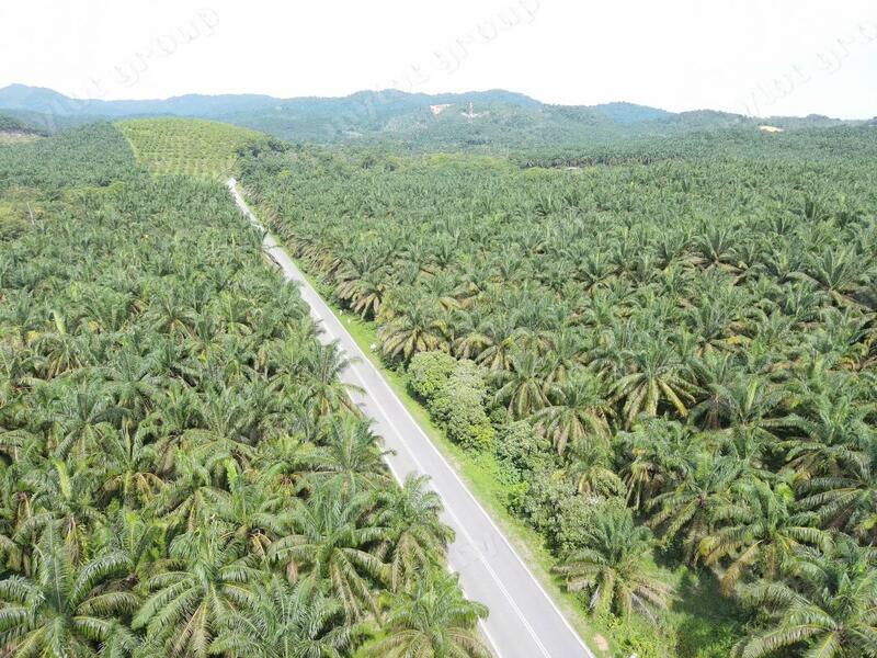 Tanah Pertanian untuk Dijual di Karangan (Kedah) - Teh Guan Fong - Exterior - PropertyGuru.com.my