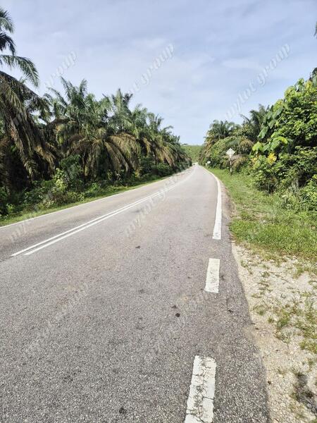 Tanah Pertanian untuk Dijual di Karangan (Kedah) - Teh Guan Fong - Exterior - PropertyGuru.com.my