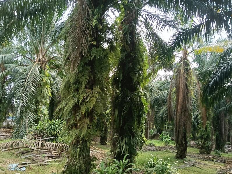 kangkar pulai agriculturalland untuk Untuk Dijual - RM 2,163,599, Feb 2026 - Garden - PropertyGuru.com.my