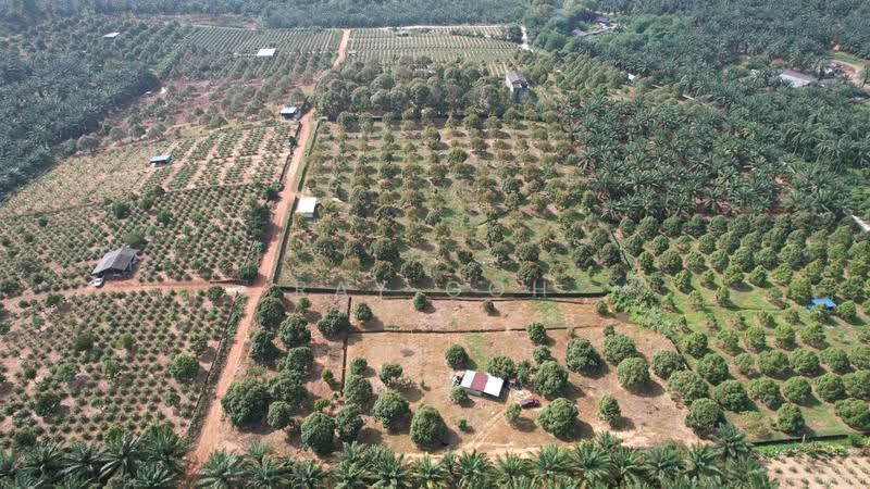 Tanah Pertanian untuk Dijual di Port Dickson (Negeri Sembilan) - Ray Goh - Exterior - PropertyGuru.com.my