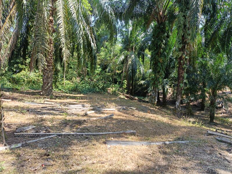 Agricultural Land for Sale in Dengkil (Selangor) - Alicia Lee - Garden - PropertyGuru.com.my