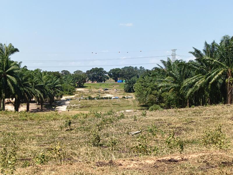 Agricultural Land for Sale in Dengkil (Selangor) - Alicia Lee - Exterior - PropertyGuru.com.my