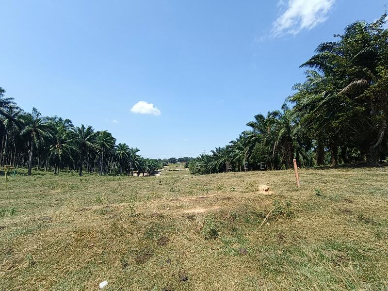 Agricultural Land for Sale in Dengkil (Selangor) - Alicia Lee - Exterior - PropertyGuru.com.my