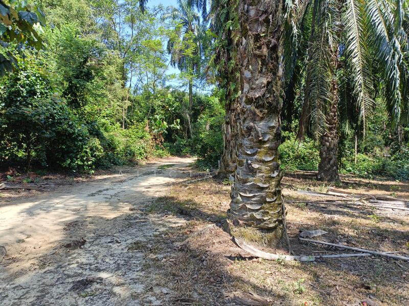 Agricultural Land for Sale in Dengkil (Selangor) - Alicia Lee - Exterior - PropertyGuru.com.my