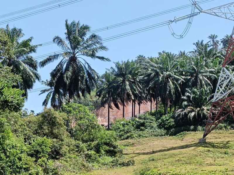 Agricultural Land for Sale in Dengkil (Selangor) - Alicia Lee - Exterior - PropertyGuru.com.my