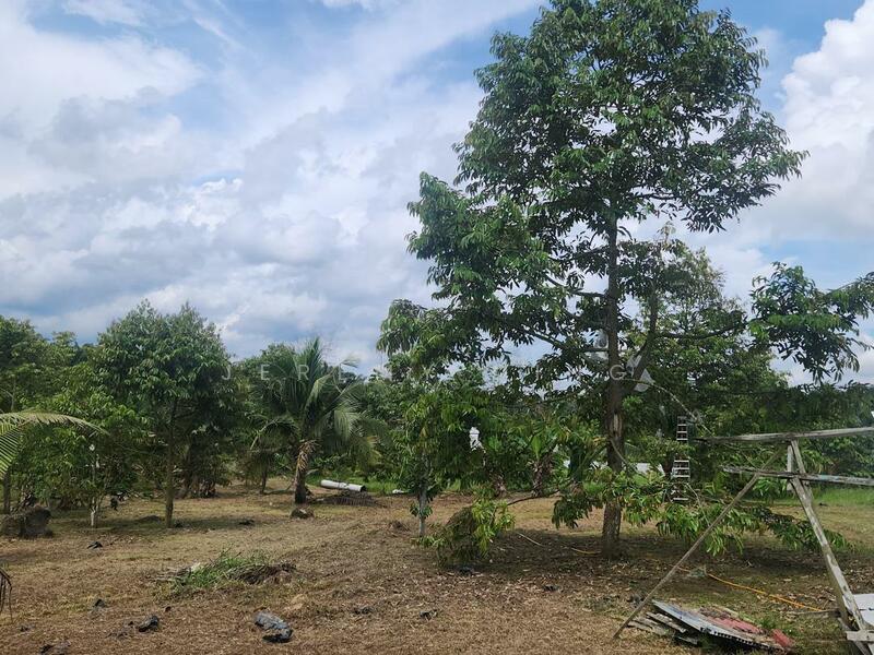 Agricultural Land for Sale in Simpang Renggam (Johor) - Jeremy Ding - Durian - PropertyGuru.com.my