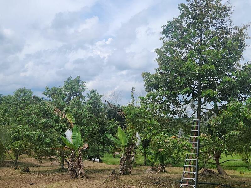 Agricultural Land for Sale in Simpang Renggam (Johor) - Jeremy Ding - Exterior - PropertyGuru.com.my