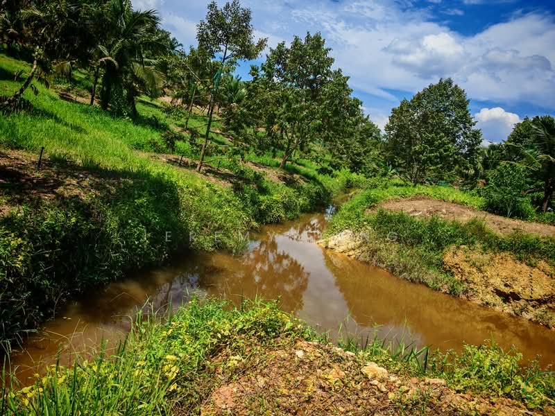 Agricultural Land for Sale in Simpang Renggam (Johor) - Jeremy Ding - Exterior - PropertyGuru.com.my