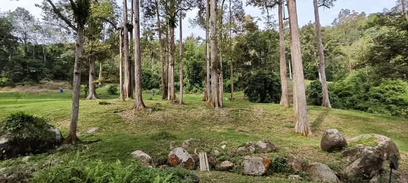 Agricultural Land for Sale in Batang Kali (Selangor) - Iz Hakim - Garden - PropertyGuru.com.my