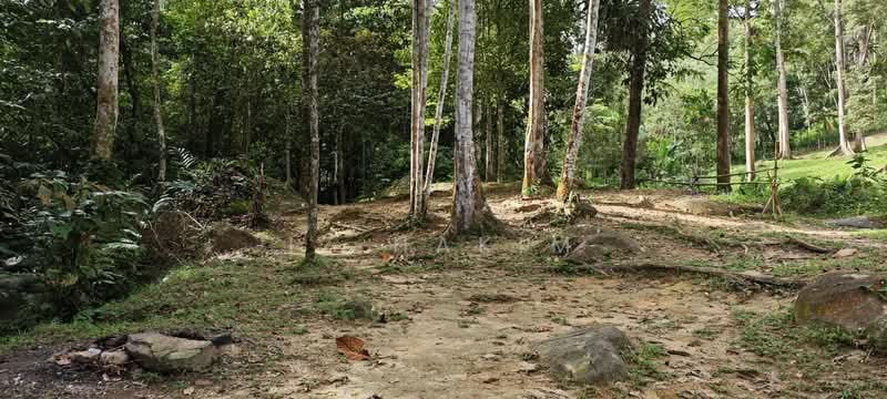 Agricultural Land for Sale in Batang Kali (Selangor) - Iz Hakim - Exterior - PropertyGuru.com.my