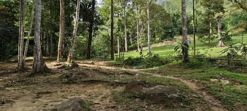 Agricultural Land for Sale in Batang Kali (Selangor) - Iz Hakim - Exterior - PropertyGuru.com.my