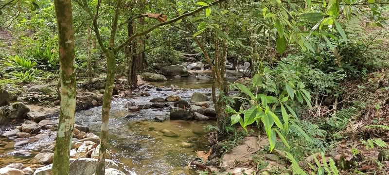 Agricultural Land for Sale in Batang Kali (Selangor) - Iz Hakim - Exterior - PropertyGuru.com.my