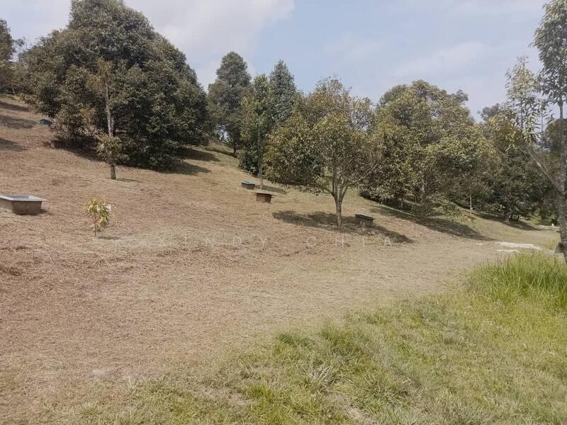 Agricultural Land for Sale in Taman Raub Jaya (Gali) - Xindy Chia - Exterior - PropertyGuru.com.my