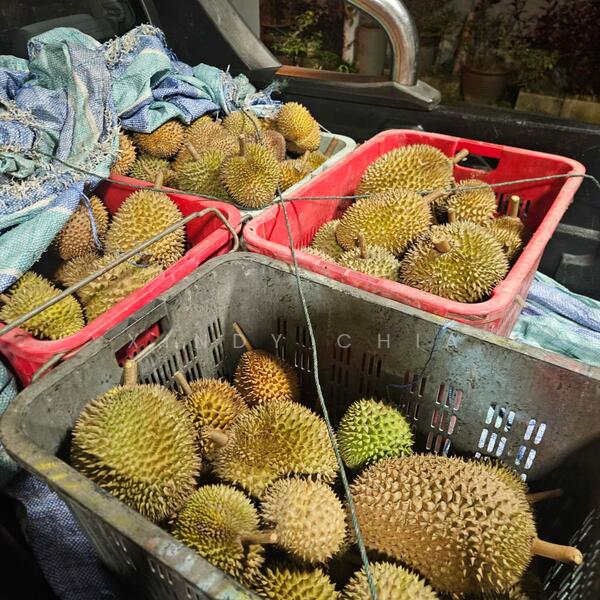 Agricultural Land for Sale in Taman Raub Jaya (Gali) - Xindy Chia - PropertyGuru.com.my