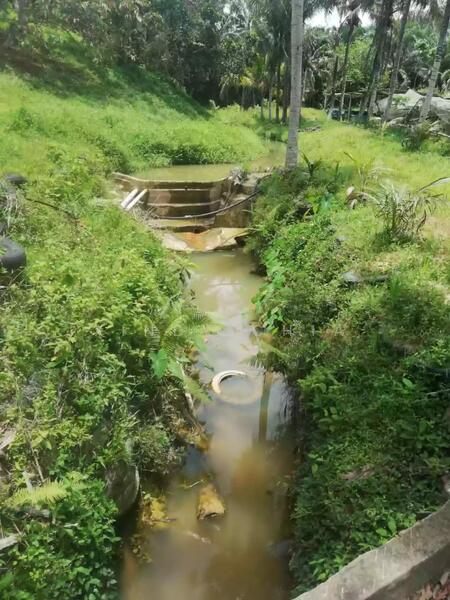 Agricultural Land for Sale in Taman Raub Jaya (Gali) - Xindy Chia - PropertyGuru.com.my