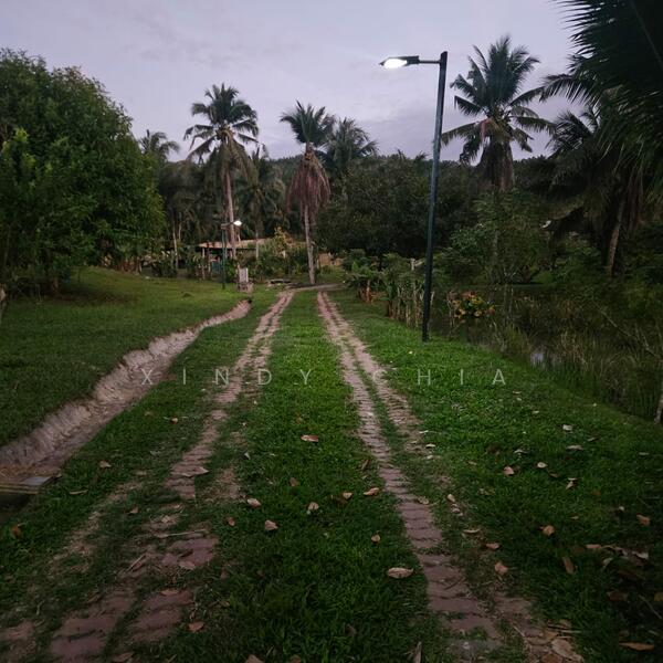 Agricultural Land for Sale in Taman Raub Jaya (Gali) - Xindy Chia - PropertyGuru.com.my