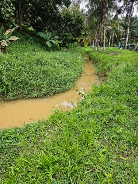 Agricultural Land for Sale in Taman Raub Jaya (Gali) - Xindy Chia - PropertyGuru.com.my