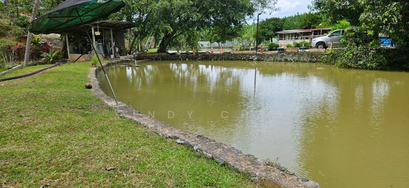 Agricultural Land for Sale in Taman Raub Jaya (Gali) - Xindy Chia - PropertyGuru.com.my