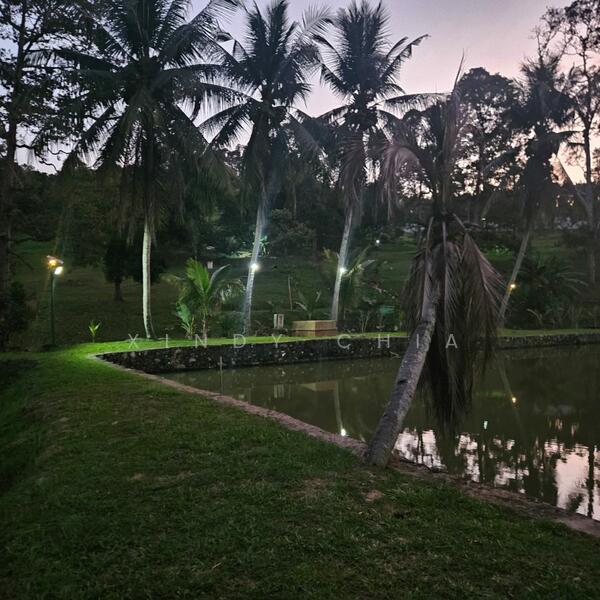 Agricultural Land for Sale in Taman Raub Jaya (Gali) - Xindy Chia - PropertyGuru.com.my