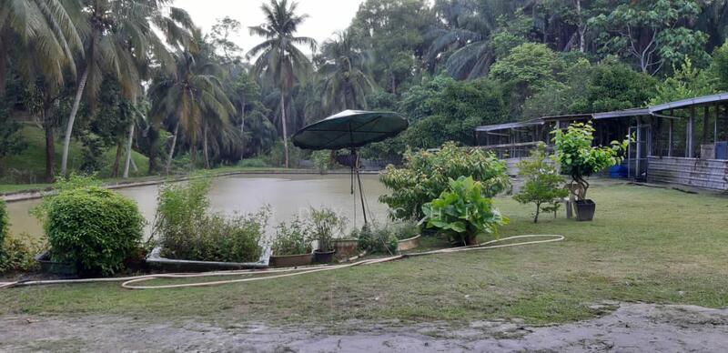 Agricultural Land for Sale in Taman Raub Jaya (Gali) - Xindy Chia - PropertyGuru.com.my