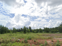 For Sale - Bukit Kayu Hitam