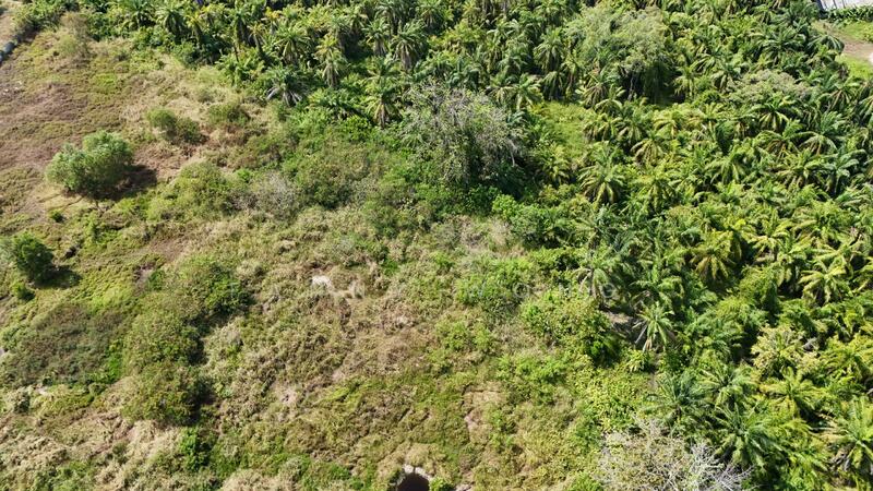 Industrial Land for Sale in Simpang Ampat (Penang) - Fanny Wong - PropertyGuru.com.my