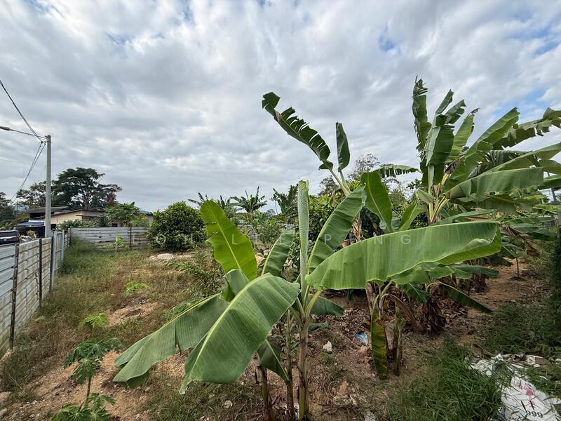 For Sale - Kangkar Pulai